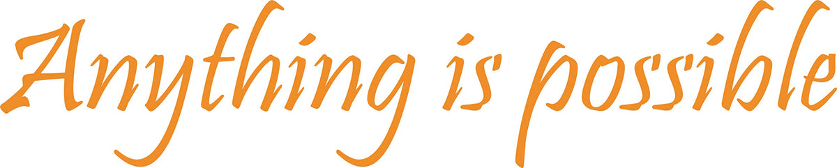 Decaltor Anything Is Possible Decal