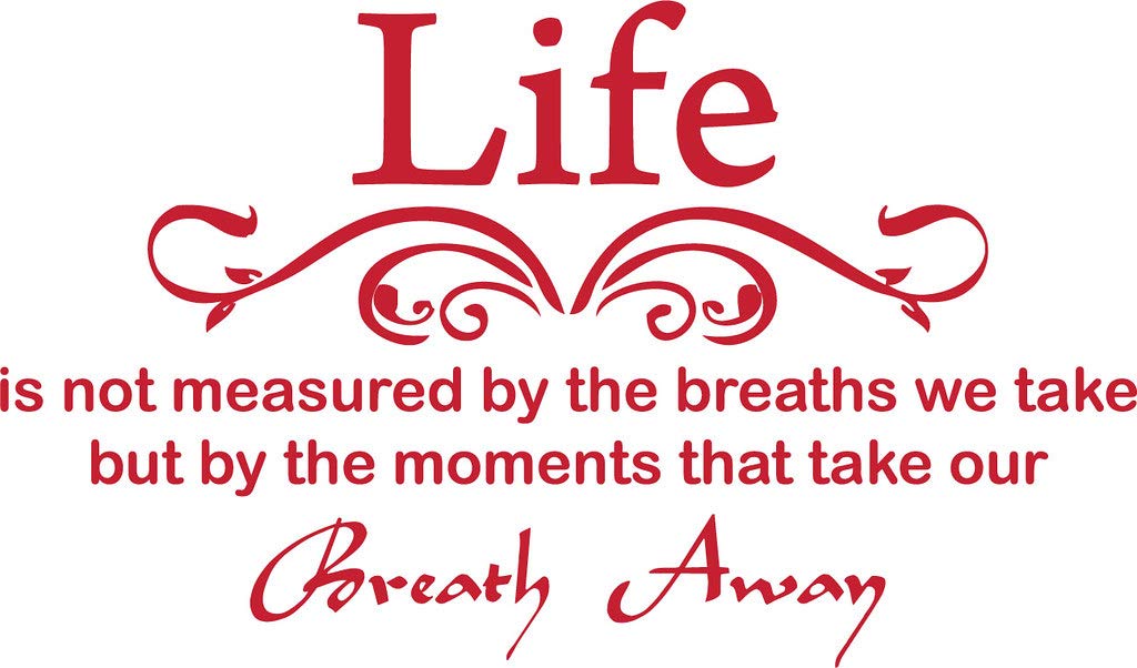 Picniva Life Is Not Measured Quote Vinyl Wall Decal, Red, 22 x 12 in