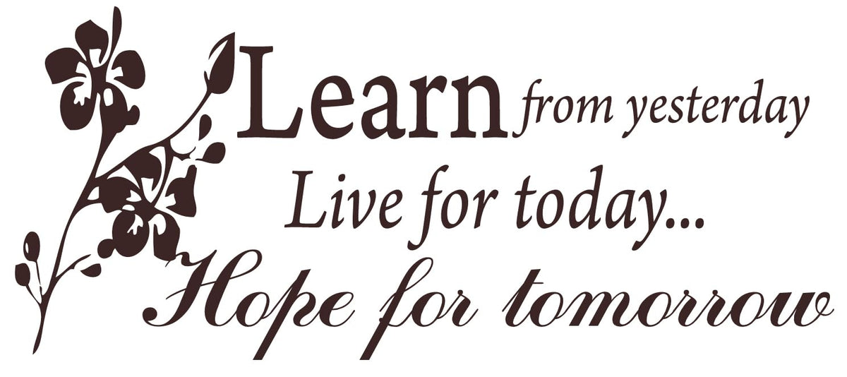 Decaltor Learn from Yesterday Quote Vinyl Wall Decal, Home Decor