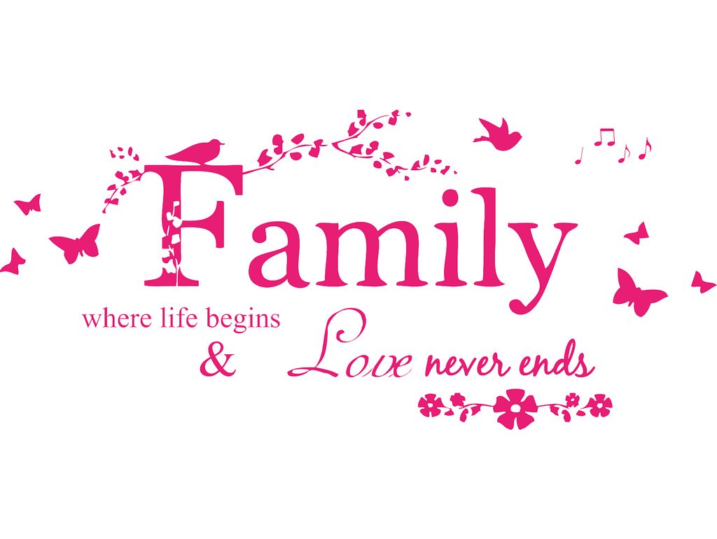 Picniva Family Quote Lettering Vinyl Wall Decal, Pink, 22 x 10 inches