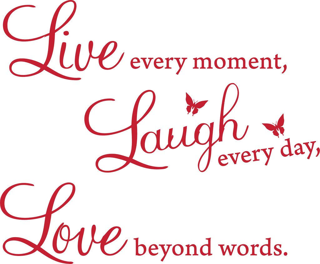 Picniva Live Every Moment Quote Vinyl Wall Decal, Red, 15 x 22 in
