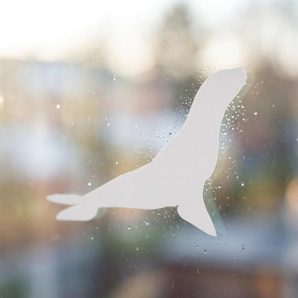 Picniva Sea Lion Vinyl Car Window Decal, Approx 5 in