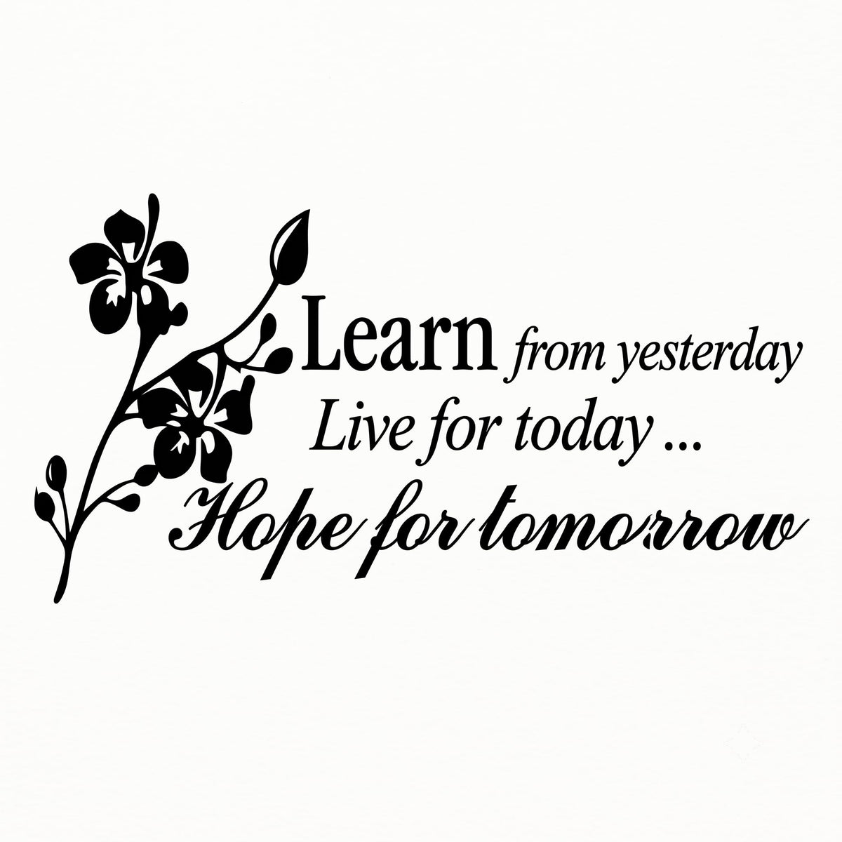 Decaltor Learn from Yesterday Quote Vinyl Wall Decal, Home Decor