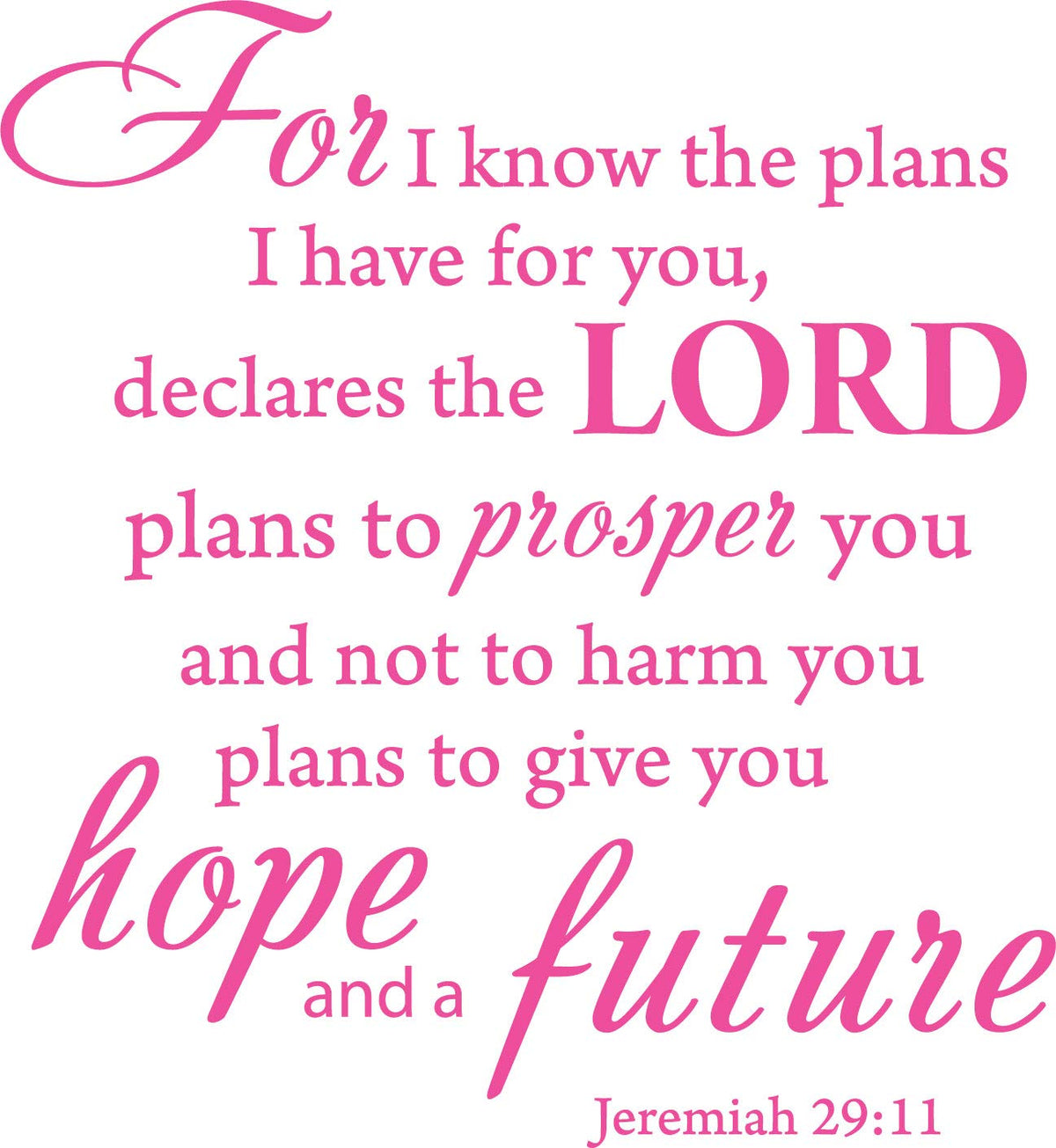 Decaltor Jeremiah 29:11 Bible Vinyl Wall Decal Christian Decor