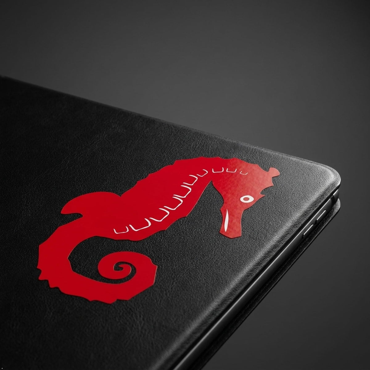 Decaltor Seahorse Vinyl Decal, 5 in, Car Window Sticker