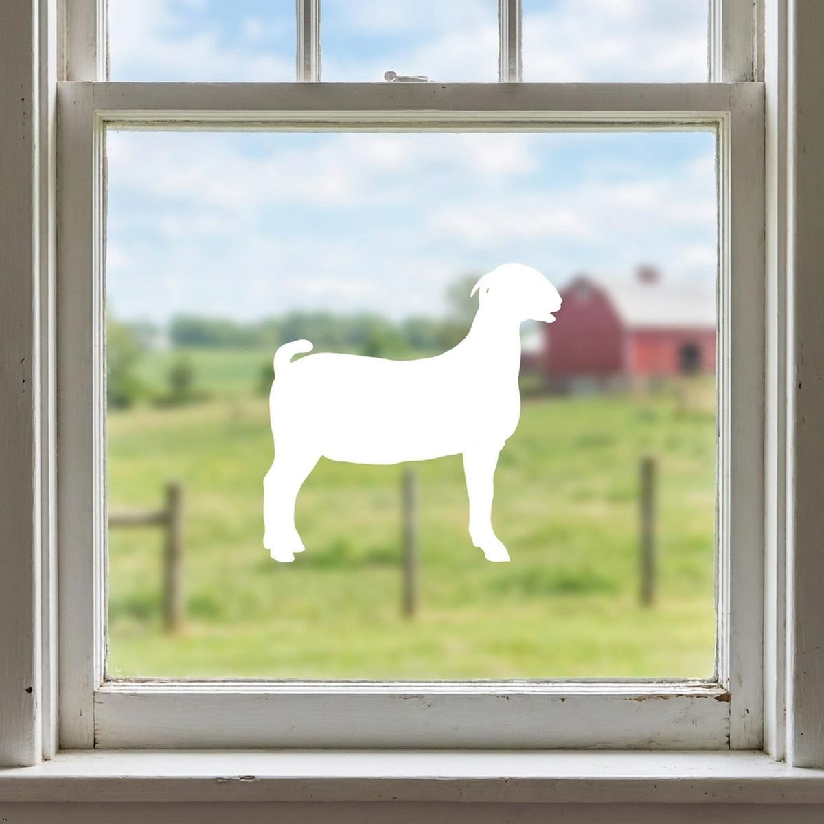 Picniva Boer Goat Vinyl Car Window Decal, Approx 5 in