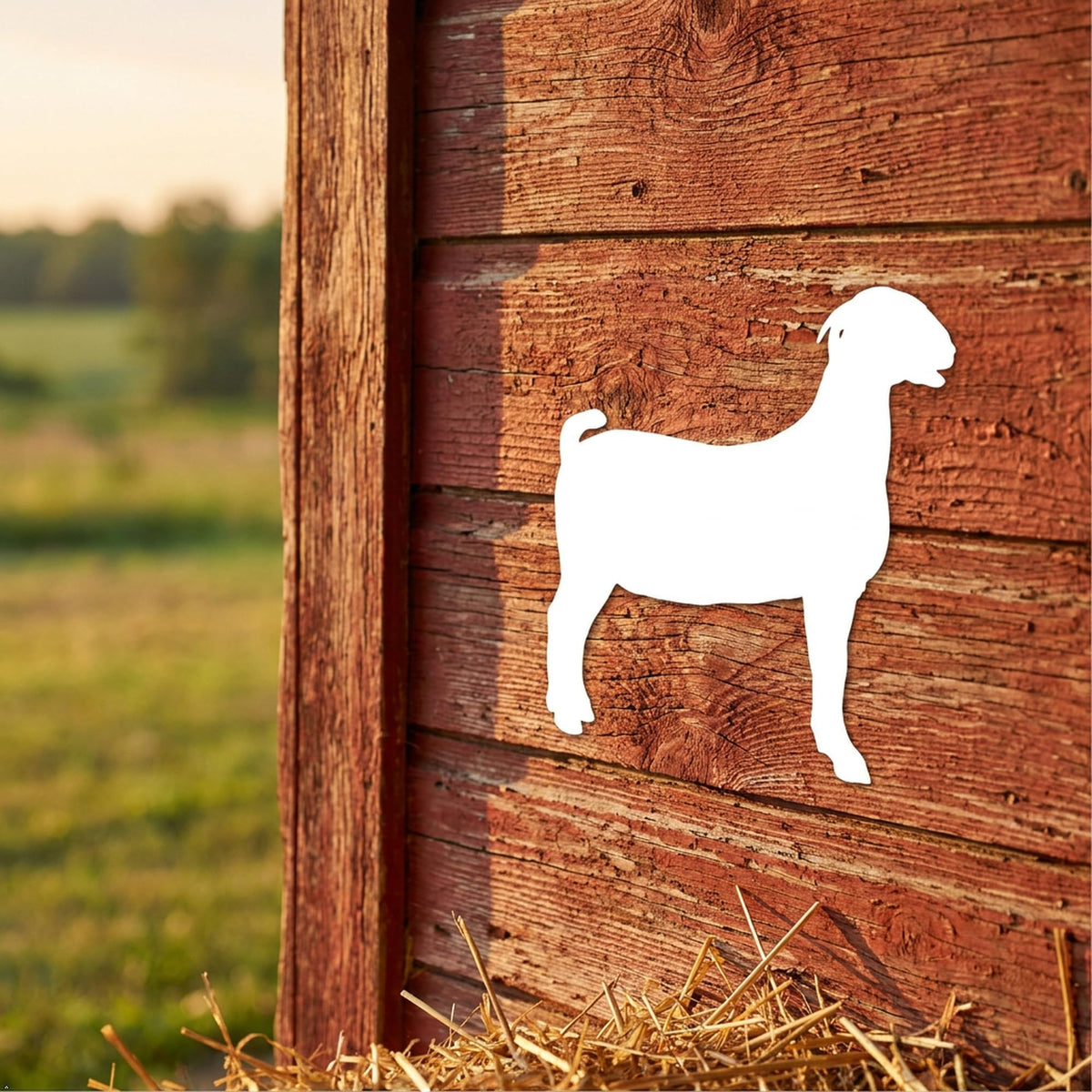 Picniva Boer Goat Vinyl Car Window Decal, Approx 5 in