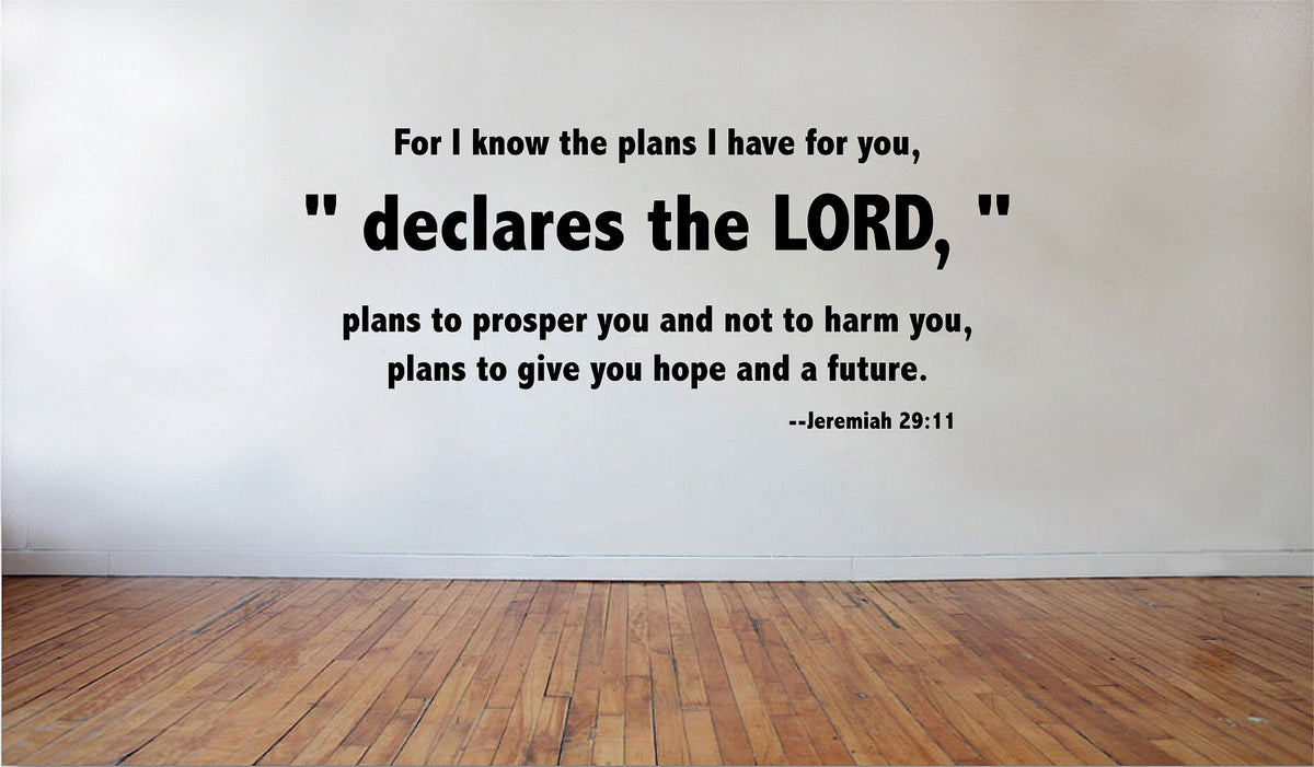 Picniva Jeremiah 29:11 Vinyl Wall Decal, Matte Black, 20 x 10 in