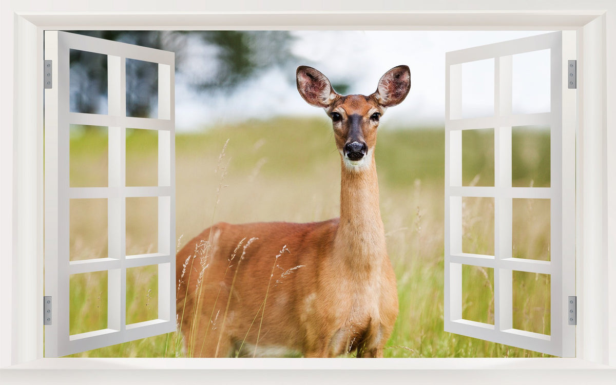 Picniva Prairie Deer Portrait 3D Faux Window Wall Mural Decal, 22 x 14 in