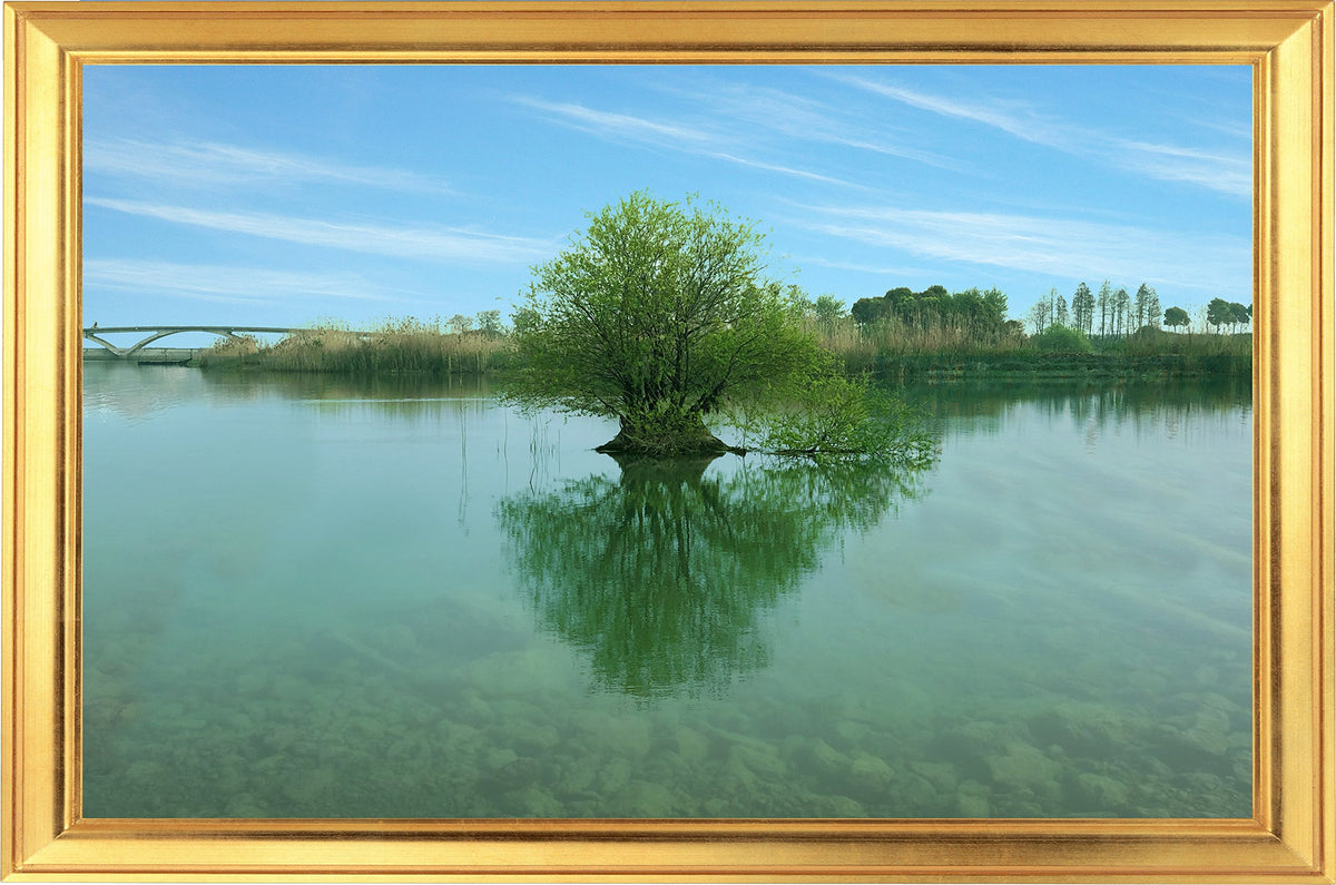 Picniva Lake Tree Faux Gold Frame 3D Wall Mural Decal, 35 x 22 in